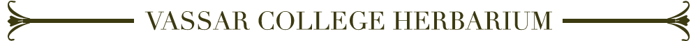 Vassar College Herbarium