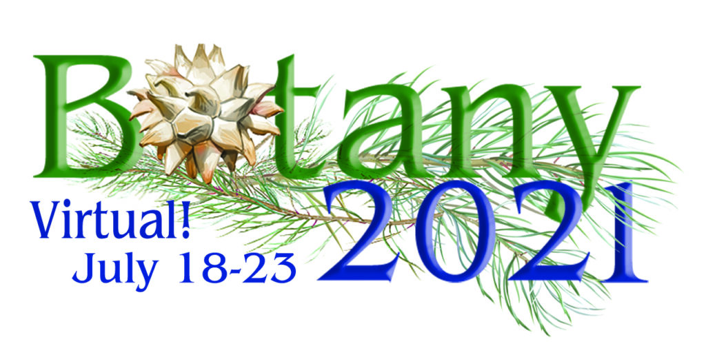 Professor Schlessman Talks About “NOT Average” Specimens